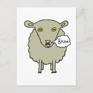 Baa Sheep Postcard