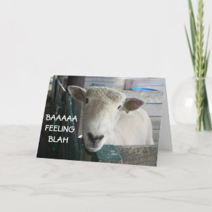 BAAAAA-FEELING BLAH- GET WELL CARD