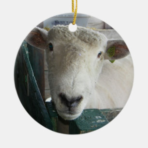BAAAAAAAAAAAA SHEEP ORNAMENT