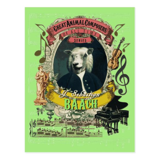 Image of Baach Funny Sheep Great Animal Composer Bach Postcard