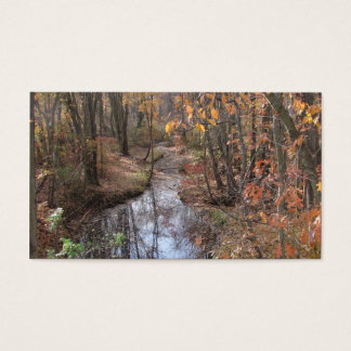 Babbling Brook