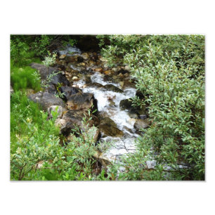 Babbling brook photo