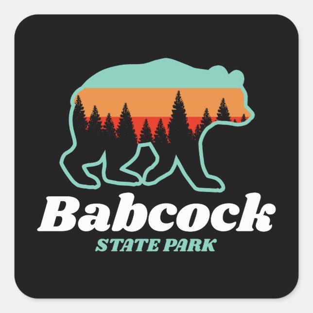 Babcock State Park West Virginia Bear Retro  Square Sticker (Front)