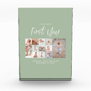 Babies first year photo collage script green 