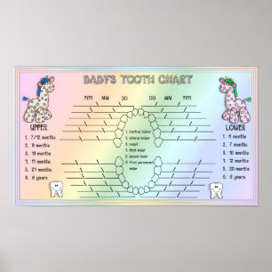Babies Tooth Chart