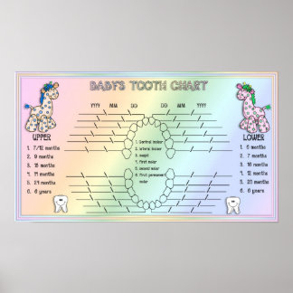 Babies Tooth Chart