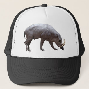 Babirusa Hat