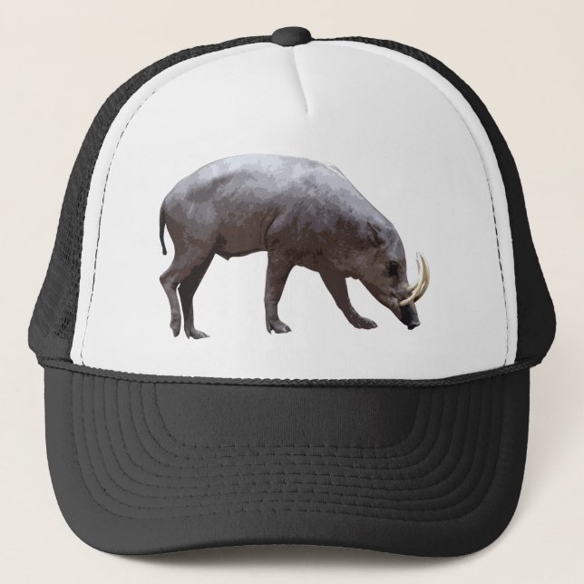 Babirusa Hat (Front)