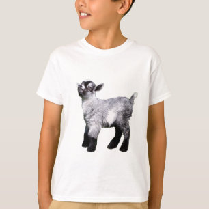 Bably Miniature Goat Shirt