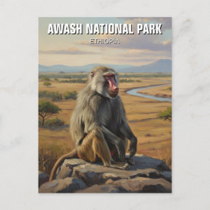 Baboon in Awash National Park Ethiopia Travel Postcard
