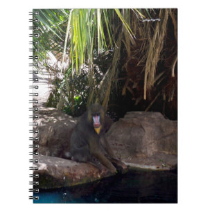 Baboon In Paradise,  Notebook