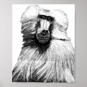 Baboon Monkey Jungle Safari Illustration Art Poster