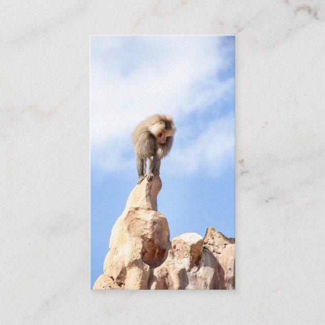 Baboon monkey on top of a mountain business card (Front)