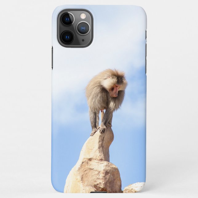 Baboon monkey on top of a mountain iPhone case (Back)