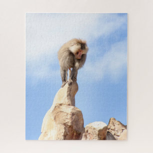 Baboon monkey on top of a mountain jigsaw puzzle