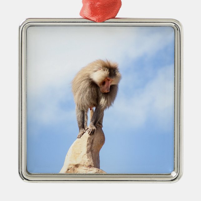Baboon monkey on top of a mountain metal tree decoration (Front)