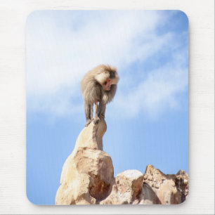 Baboon monkey on top of a mountain mouse mat
