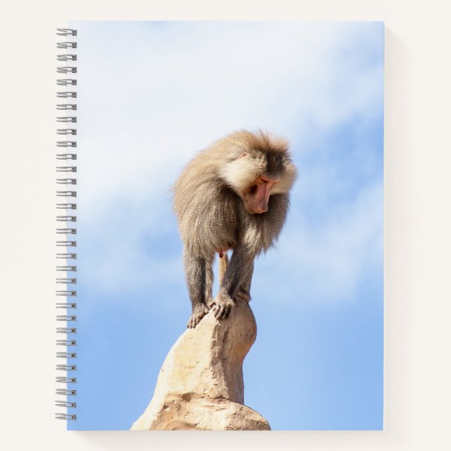 Baboon monkey on top of a mountain notebook (Front)
