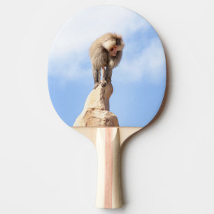 Baboon monkey on top of a mountain ping pong paddle