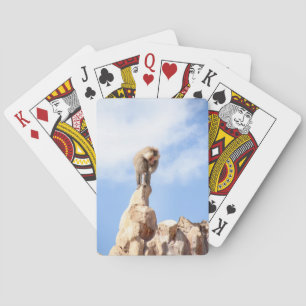 Baboon monkey on top of a mountain playing cards