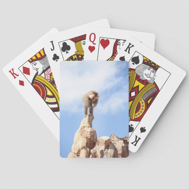 Baboon monkey on top of a mountain playing cards (Back)