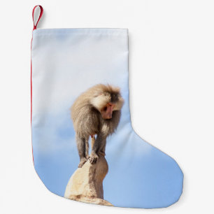 Baboon monkey on top of a mountain small christmas stocking