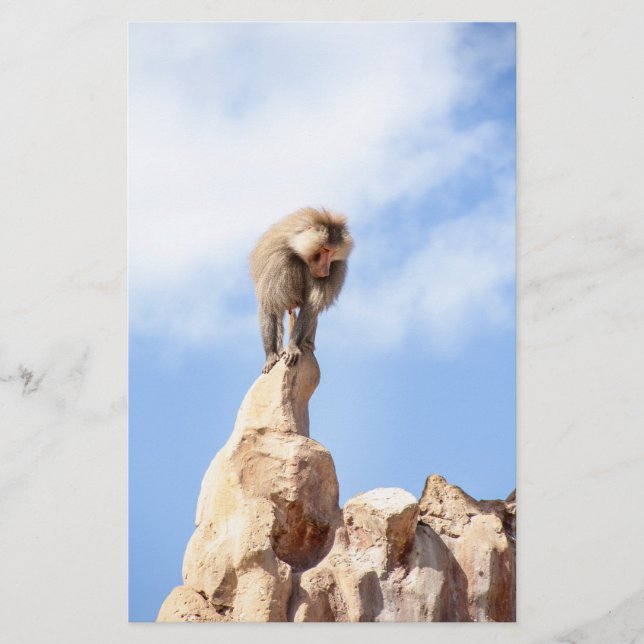 Baboon monkey on top of a mountain stationery (Front)