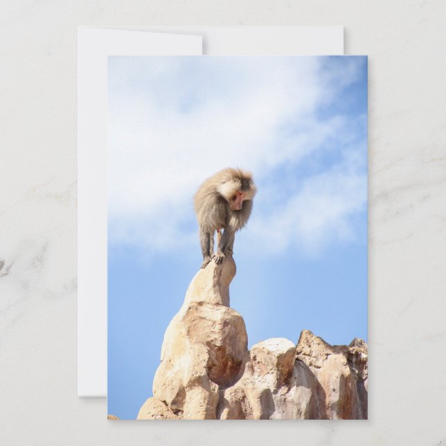 Baboon monkey on top of a mountain thank you card (Front)