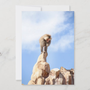 Baboon monkey on top of a mountain thank you card
