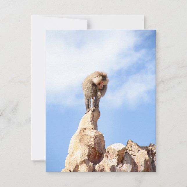 Baboon monkey on top of a mountain thank you card (Front)