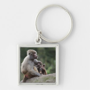 Baboon mother nursing her young key ring