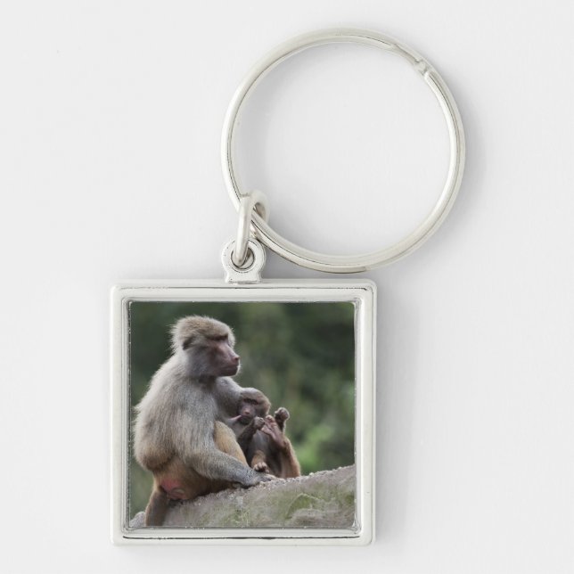 Baboon mother nursing her young key ring (Front)