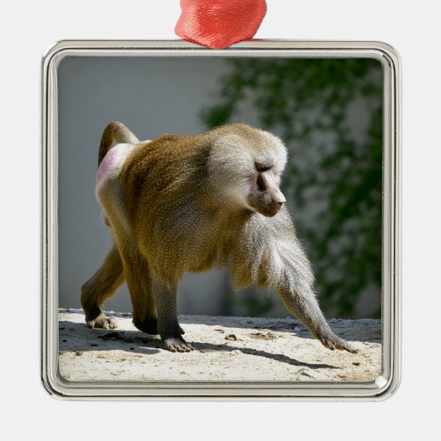 Baboon walking on ground metal tree decoration (Front)