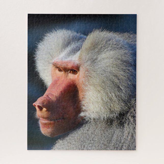 Baboons. Jigsaw Puzzle (Vertical)