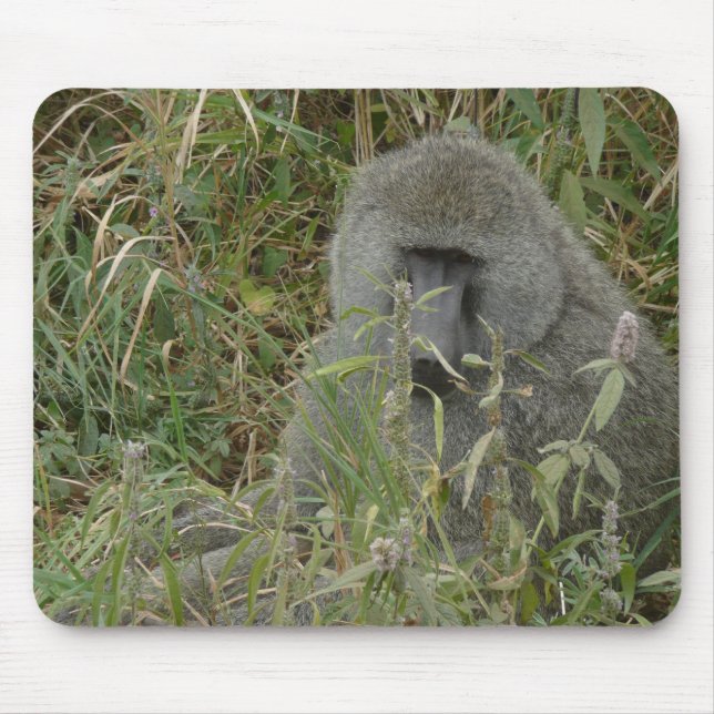 Baboons' Pad Mouse Mat (Front)