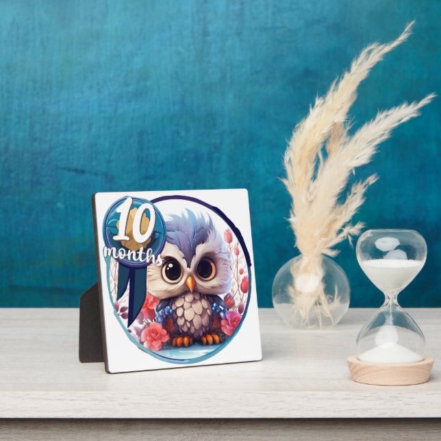 Baby - 10 months plaque (Insitu)
