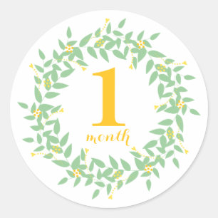 Baby 1 Month Classic Round Sticker, Glossy Sticker