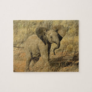 Baby African Elephant, Loxodonta Africana, Jigsaw Puzzle