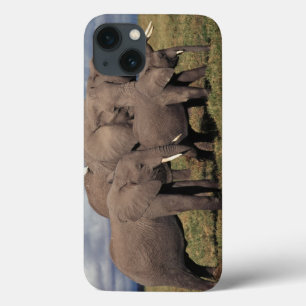 Baby African Elephant with family iPhone 13 Case