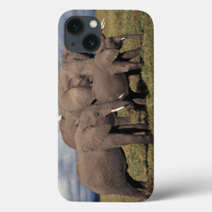 Baby African Elephant with family iPhone 13 Case
