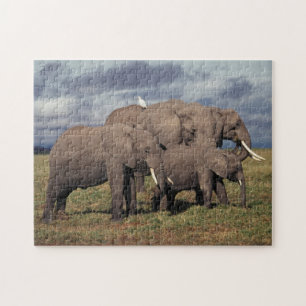 Baby African Elephant with family Jigsaw Puzzle