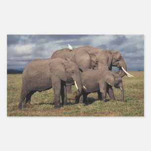 Baby African Elephant with family Rectangular Sticker