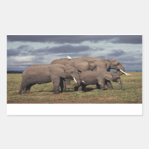 Baby African Elephant with family Rectangular Sticker