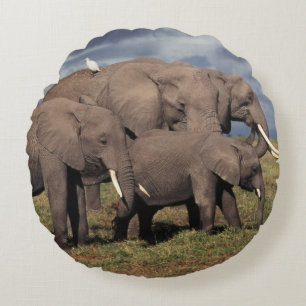 Baby African Elephant with family Round Cushion