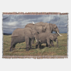 Baby African Elephant with family Throw Blanket