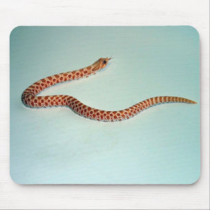 Baby Albino Hognose Snake Mousepad