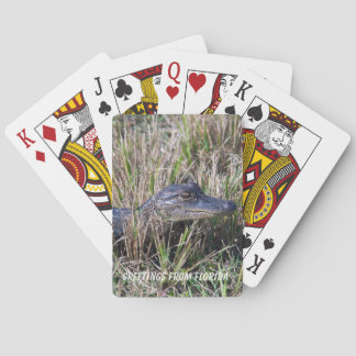 Baby Alligator in Marsh Photography Personalise Playing Cards