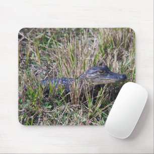 Baby Alligator Wildlife Nature Photography Mouse Mat