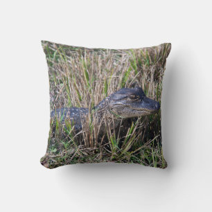 Baby Alligator Wildlife Swamp Nature Photography Cushion