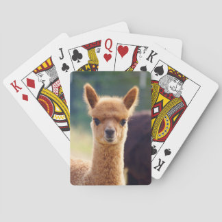 Baby Alpaca Bicycle Playing Cards
